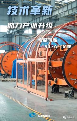 掌握核心技術(shù)，蔡甸電纜生產(chǎn)“小巨人”淡季不淡的啟示